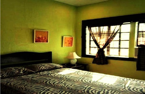 Daanbantayan Hotel | Zhang Resort and Dive Center OPC