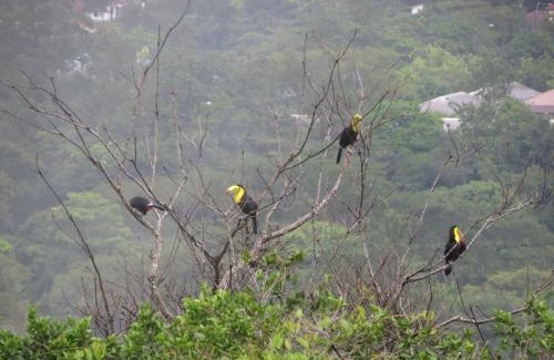 El Valle de Anton House | Ziruma