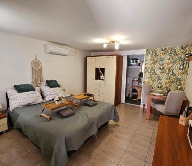 Kovagoszolos Apartment | Zsonglak Vendégház