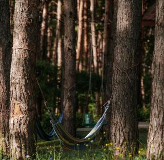 Telavi Resort | Zuzumbo Resort & Spa