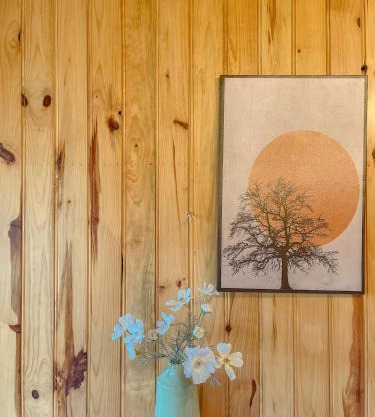 Đà Lạt 2019 homestay