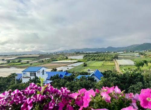 Điểm cộng đồng du lịch nông nghiệp nông thôn Avocado Farm