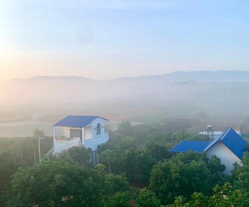 Điểm du lịch canh nông Avocado Farm