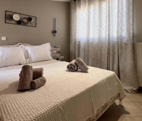 Αγρίνιο κέντρο ΔΣ, Δ1