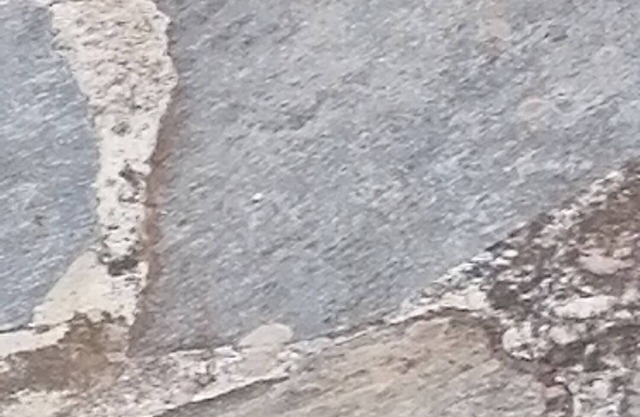 ΕΝΟΙΚΙΑΣΗ ΑΓΡΟΤΙΚΗΣ ΜΟΝΟΚΑΑΤΟΙΚΙΑΣ https:/www.facebook.com/profile.php?id=100056646154376