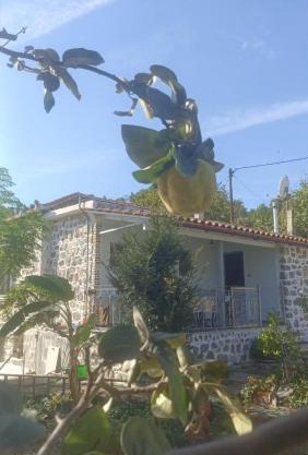 Παραδοσιακή Κατοικία