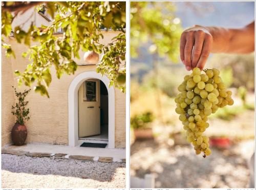 Παραδοσιακός πέτρινος ξενώνας σε φάρμα