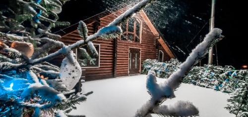 Галерея Карпат