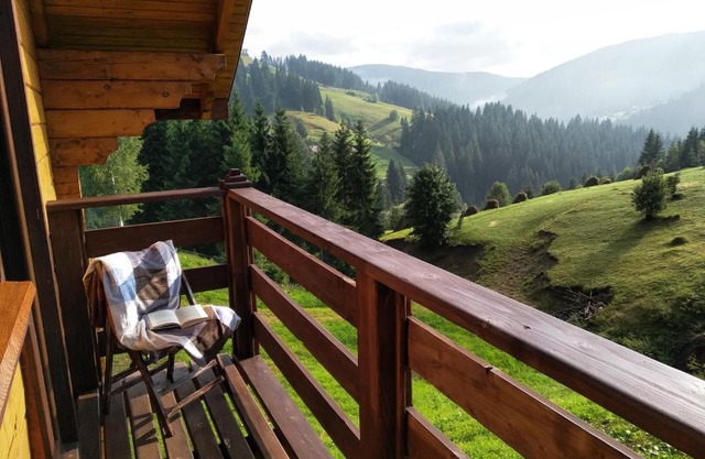 Пагорб Їжака/Hedgehog Hill