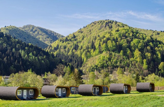 Рибничанка