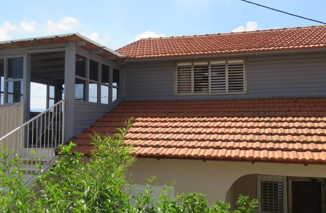 בין יער לים