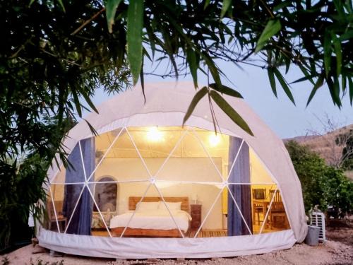 הבוסתן של הדס, הדום שבהר