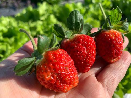 兆億申襄采民宿1741 Zhao Yì Shen Xiang Cai Homestay 1741