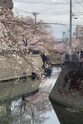 桜川別莊