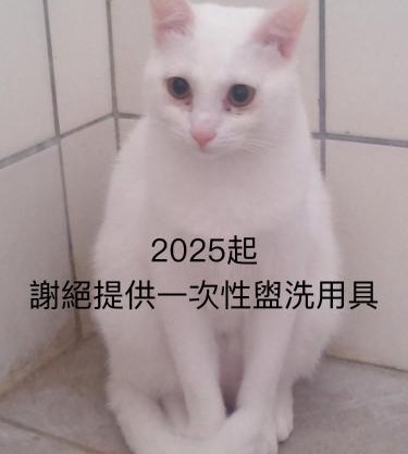 自然海naturalhigh