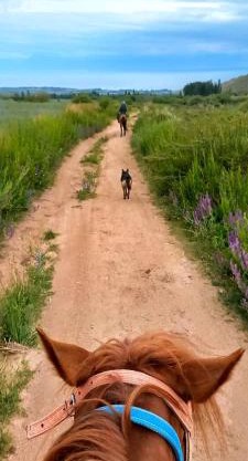 Кызыл Жар Кемпинг