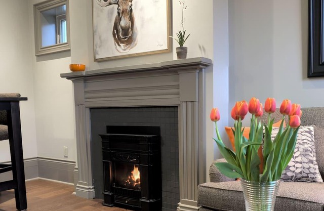1 Bedroom Apartment in Beautifully Renovated Heritage Home (apt 2)