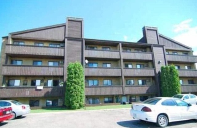 1 Bedroom Fully Equipped Condo in River Heights