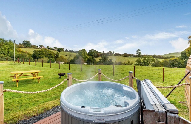 1 bedroom accommodation in Llanfair Caereinion