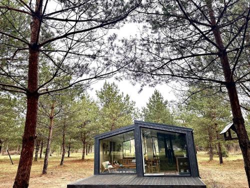 100 Drzew - Leśny Klimat Mazur