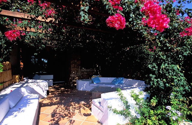 100 steps to the turquoise sea: flowered garden and shaded bougainvillea terrace
