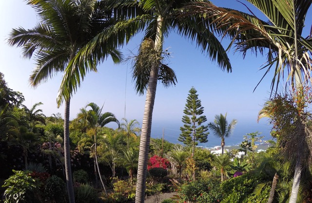 1000 Ft Elevation Overlooking The Beautiful Pacific Ocean