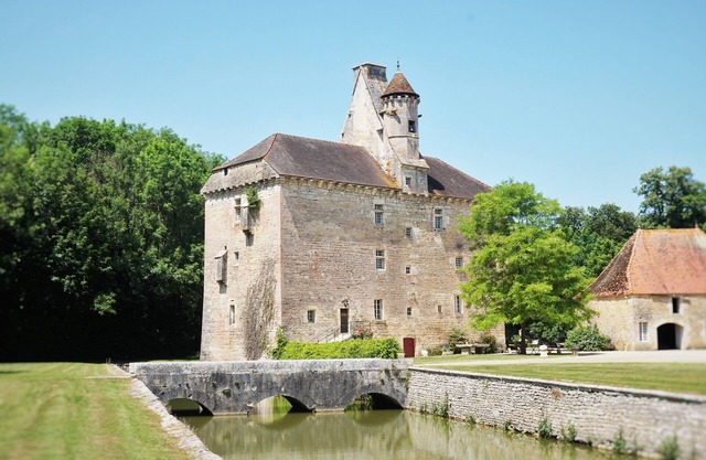 15th century château - Flavigny, family estate