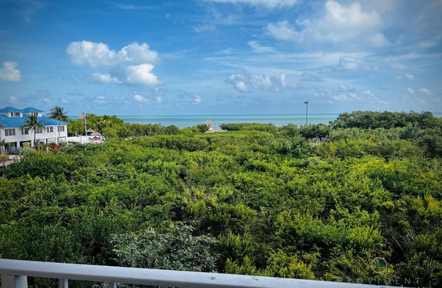 1BR w/Pool, Beach, Near Marine & Bird Sanctuaries