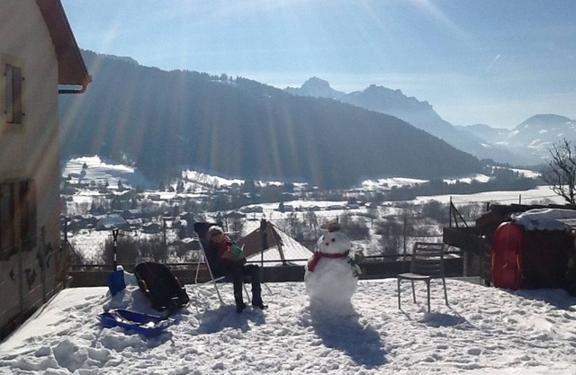 2 bedroom apartment close to the lake, skiing and hiking - Bernex/Évian