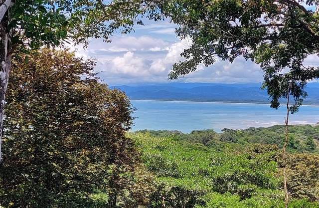 2 bedroom home with ocean and jungle views in Pavones. Views of the point break.