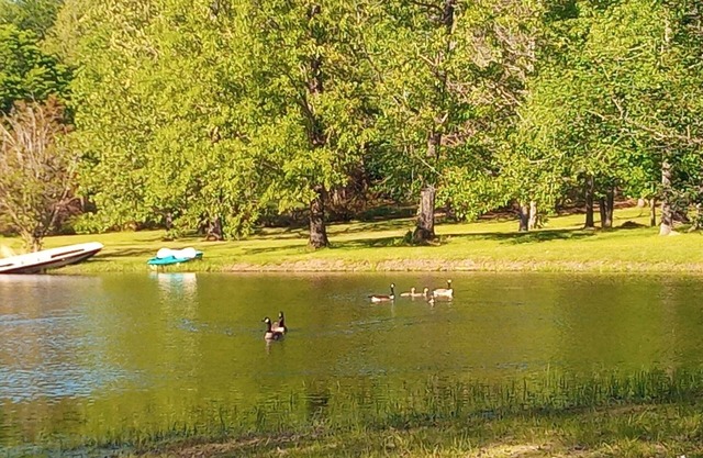 2-Bedroom Tiny Home with full kitchen, laundry, wifi, and beautiful pond views