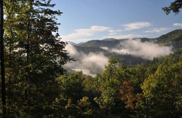 2br, 2ba Cottage Overlooking Lake Santeetlah & Natahala National Forest, Hot Tub