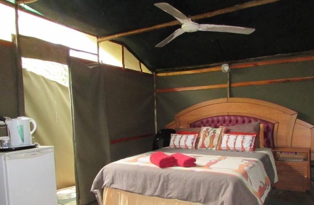 3 bed bush-tent under 3 trees, for couple plus chaperone. Free lion/hyena sounds