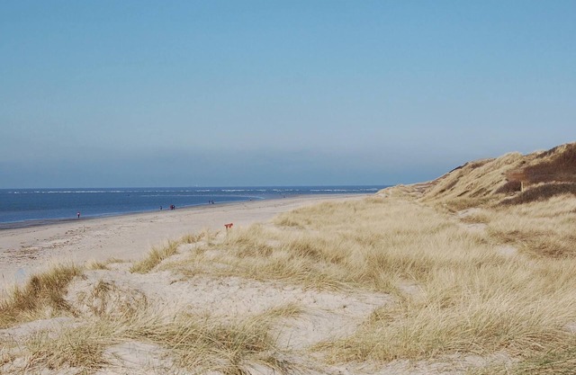 3 bedroom accommodation in Blåvand