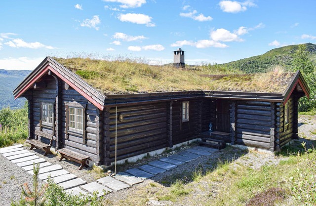 3 bedroom amazing home in Uvdal