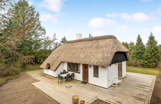 3 bedroom beautiful home in Ringkøbing