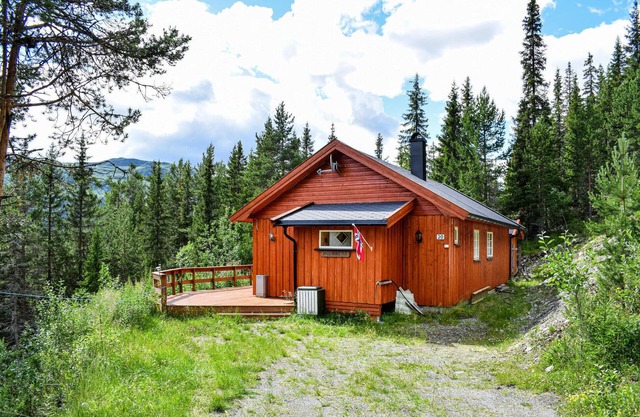 3 bedroom beautiful home in Espedalen