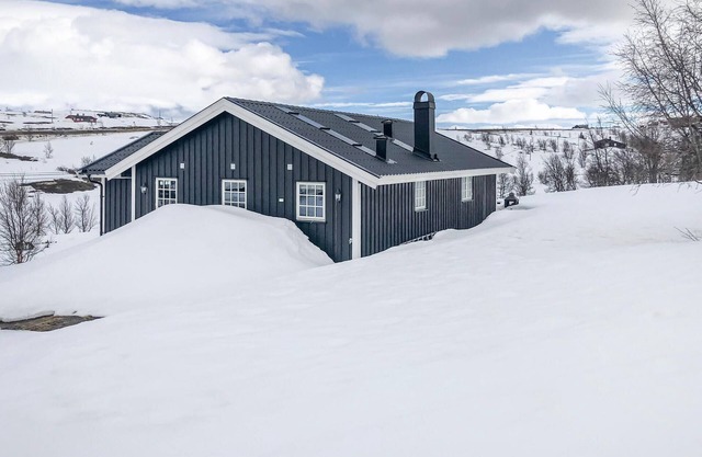 3 bedroom stunning home in Uvdal