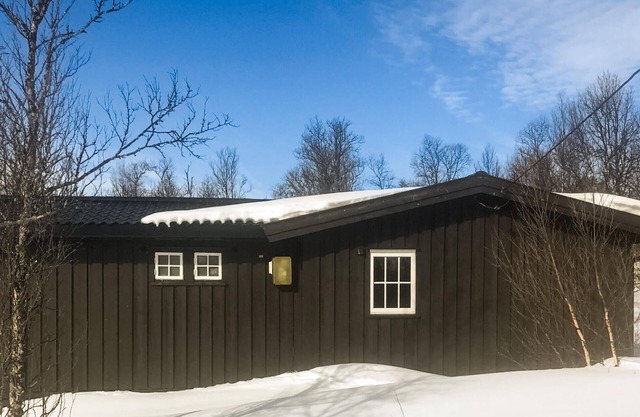 3 bedroom stunning home in Uvdal