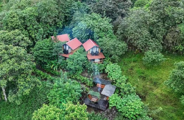 3 identical units cabins + plus 1 small villa, pool and 4 jacuzzis
