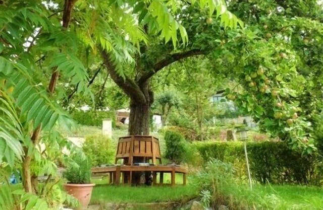 3-star holiday home with large garden and hiking trails in a rural idyll