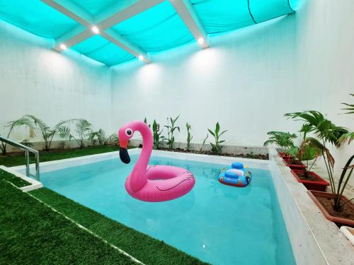 3Bhk Villa with Swimming Pool I Nyra Homestay