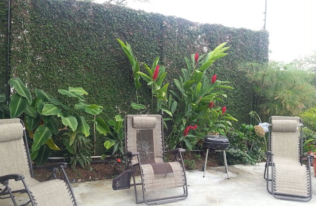 4/2 bed. 20 Min San Jose Airport. Best Central Valley Views !