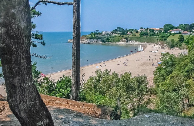 4 bedroom accommodation in St Andre de Lidon