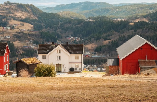 4 bedroom cozy home in Svorkmo