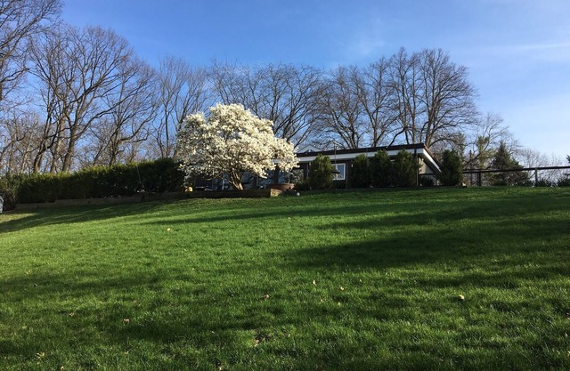 4 Bedroom home with pool near campus. Perfect for student family gatherings.