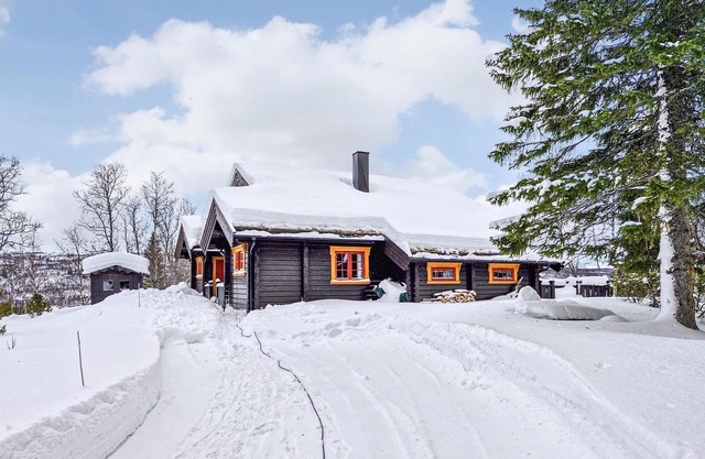 4 bedroom pet friendly home in Tydal