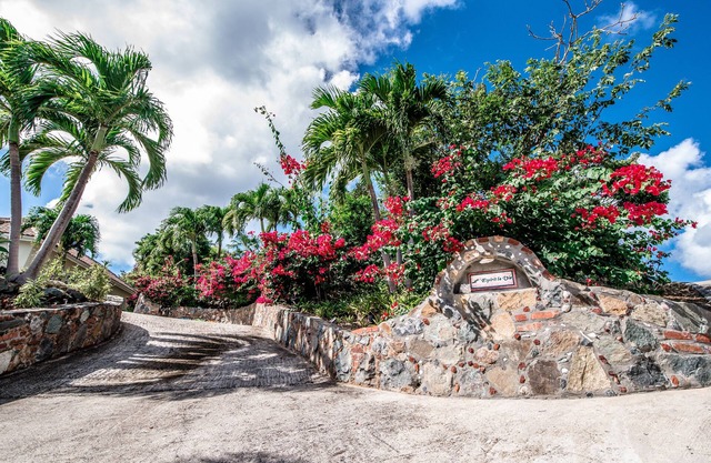 4 King Suites! South Shore Views! 24/7 Concierge Service! Cruz Bay 5 Min Drive!