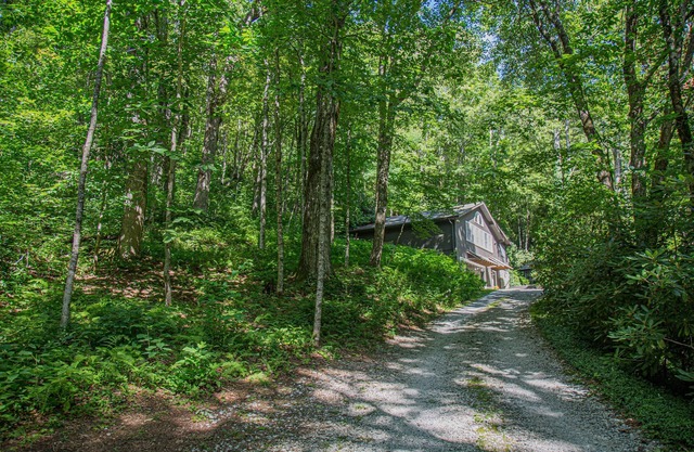 4 Min To Town, Screened Porch, Stunning Wooded Views, Dogs Ok,