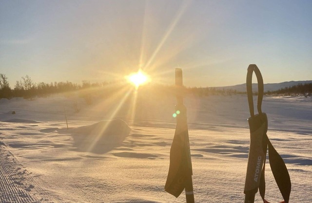 4 person holiday home in GEILO